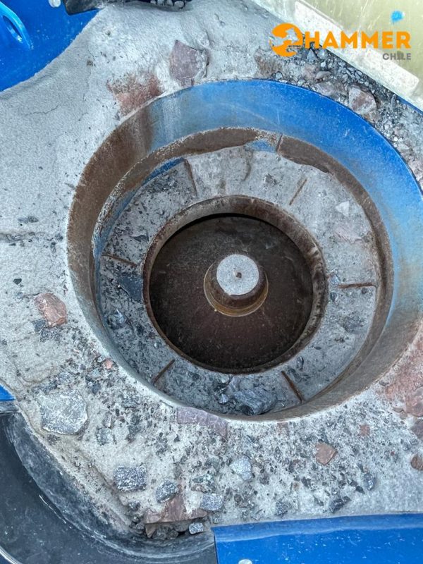 TRITURADORA KLEEMAN MCO 9 EVO 2021 - Imagen 4